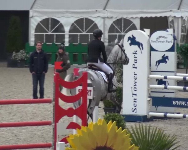 FEI Reitturnier Aachen (GER) 2016
