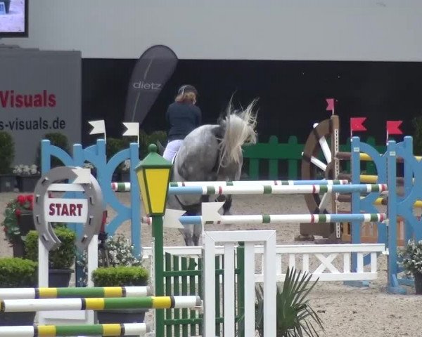 FEI Reitturnier Aachen (GER) 2016
