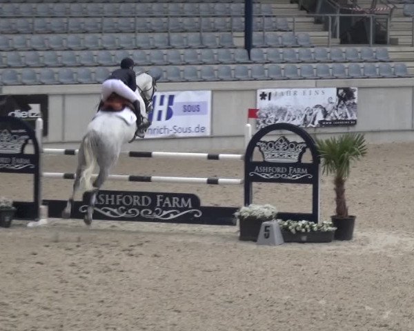 FEI Reitturnier Aachen (GER) 2016