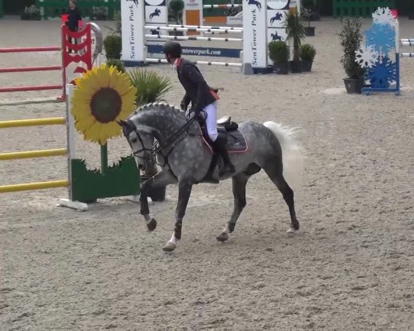 FEI Reitturnier Aachen (GER) 2016