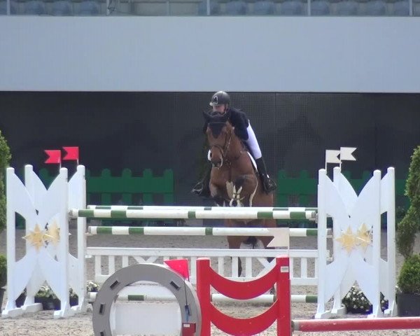 FEI Reitturnier Aachen (GER) 2016