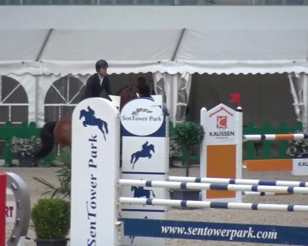 FEI Reitturnier Aachen (GER) 2016