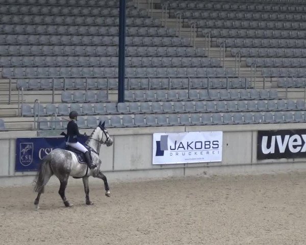 FEI Reitturnier Aachen (GER) 2016