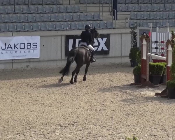 FEI Reitturnier Aachen (GER) 2016