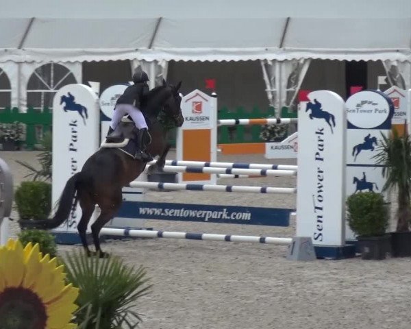 FEI Reitturnier Aachen (GER) 2016