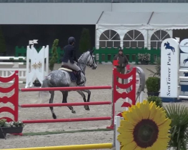 FEI Reitturnier Aachen (GER) 2016