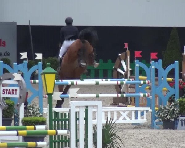 FEI Reitturnier Aachen (GER) 2016