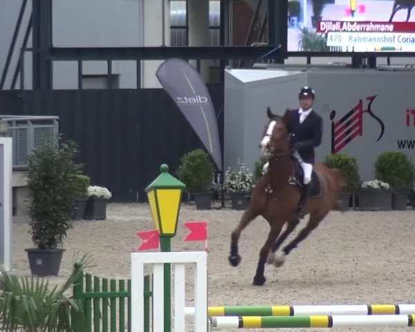 FEI Reitturnier Aachen (GER) 2016