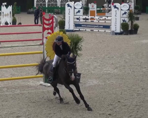 FEI Reitturnier Aachen (GER) 2016