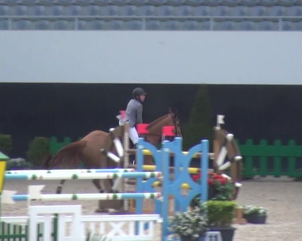 FEI Reitturnier Aachen (GER) 2016