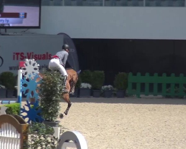 FEI Reitturnier Aachen (GER) 2016