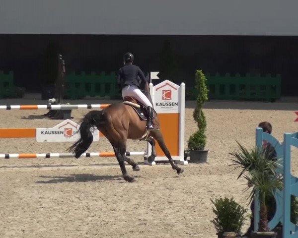 FEI Reitturnier Aachen (GER) 2016