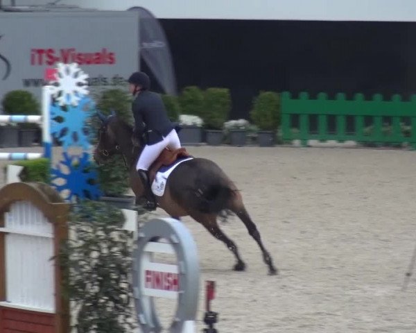 FEI Reitturnier Aachen (GER) 2016