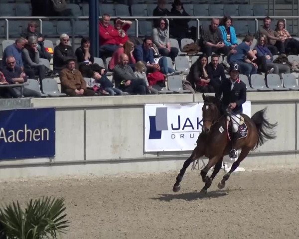 FEI Reitturnier Aachen (GER) 2016