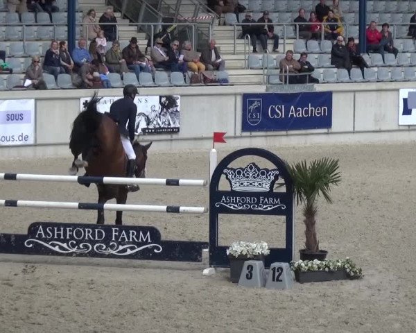 FEI Reitturnier Aachen (GER) 2016