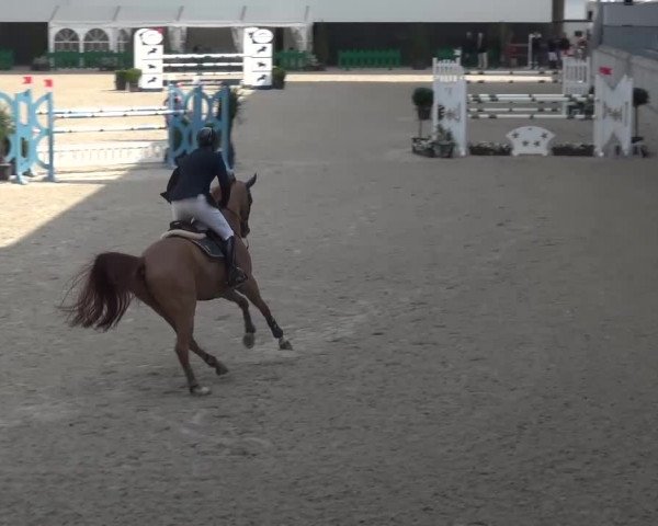 FEI Reitturnier Aachen (GER) 2016