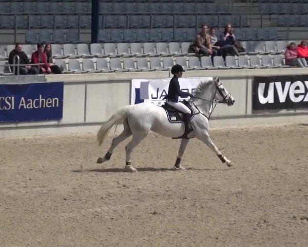 FEI Reitturnier Aachen (GER) 2016