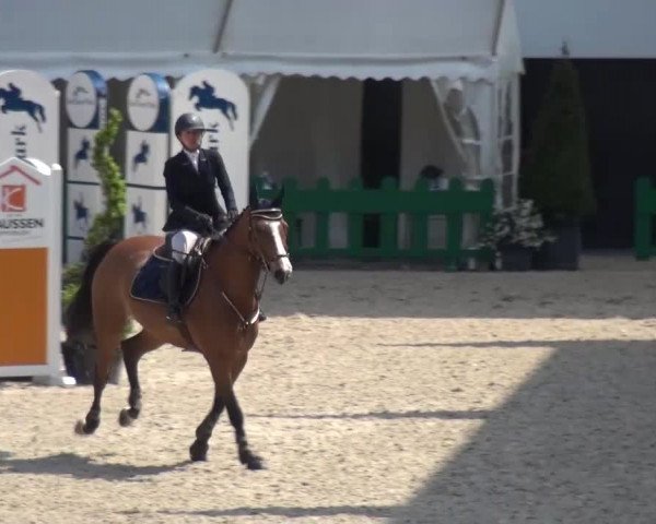 FEI Reitturnier Aachen (GER) 2016