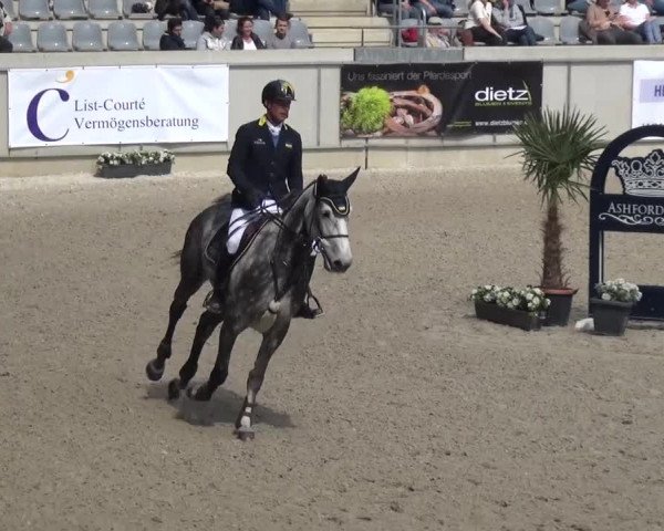 FEI Reitturnier Aachen (GER) 2016