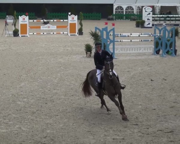 FEI Reitturnier Aachen (GER) 2016
