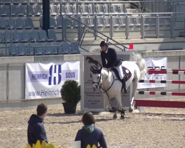 FEI Reitturnier Aachen (GER) 2016