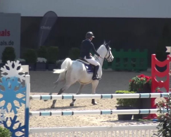 FEI Reitturnier Aachen (GER) 2016
