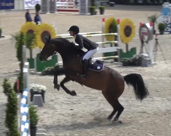 FEI Reitturnier Aachen (GER) 2016