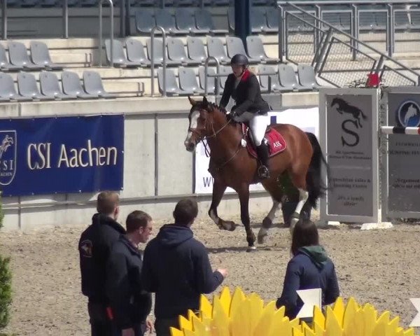 FEI Reitturnier Aachen (GER) 2016