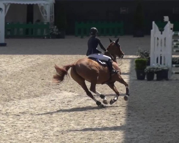 FEI Reitturnier Aachen (GER) 2016