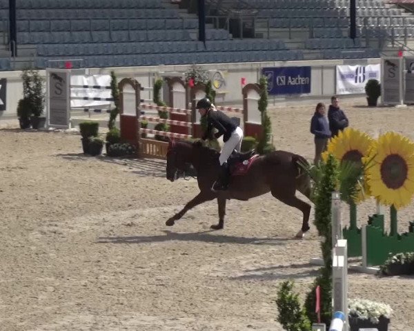 FEI Reitturnier Aachen (GER) 2016