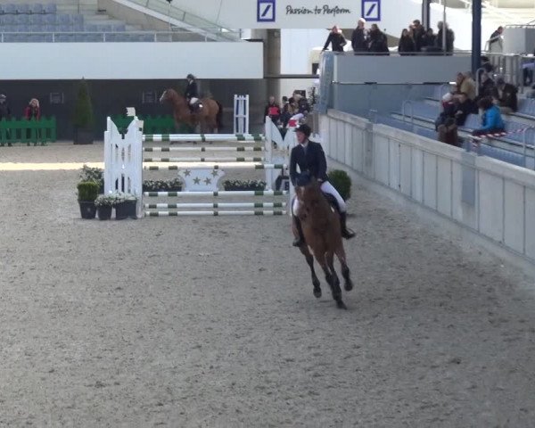 FEI Reitturnier Aachen (GER) 2016