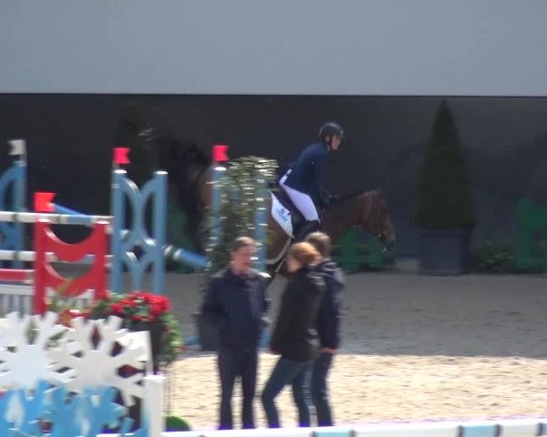 FEI Reitturnier Aachen (GER) 2016