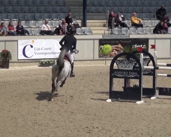 FEI Reitturnier Aachen (GER) 2016