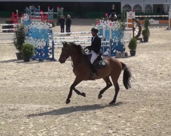 FEI Reitturnier Aachen (GER) 2016