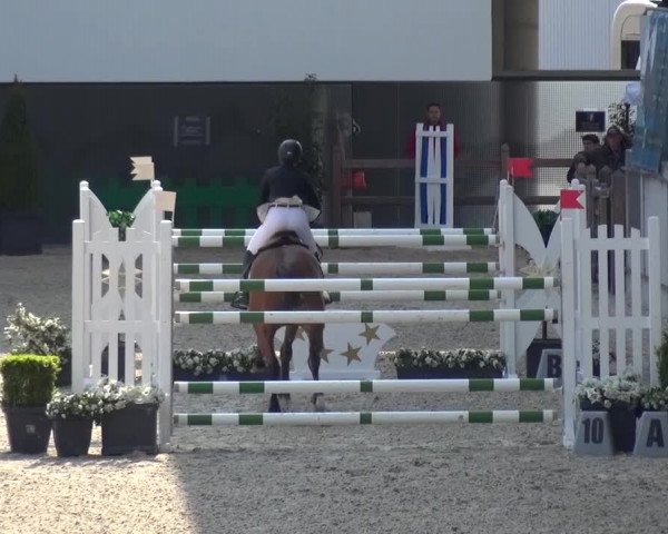 FEI Reitturnier Aachen (GER) 2016