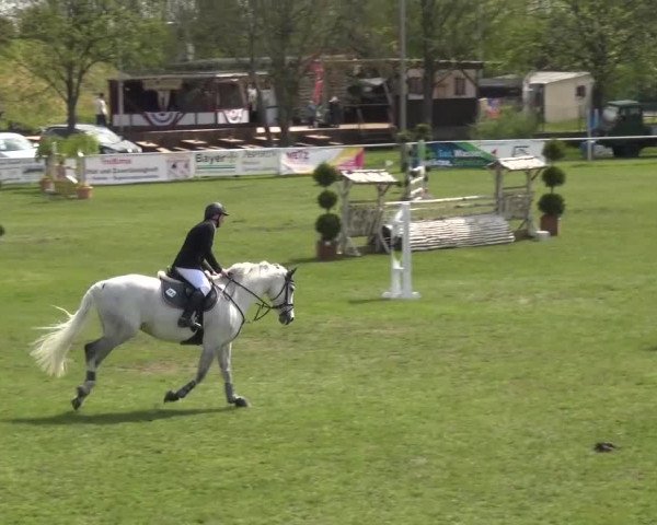Reitturnier Greppin 2016