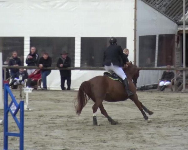 Reitturnier Xanten - Moermter 2016