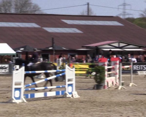 Reitturnier Havixbeck 2016