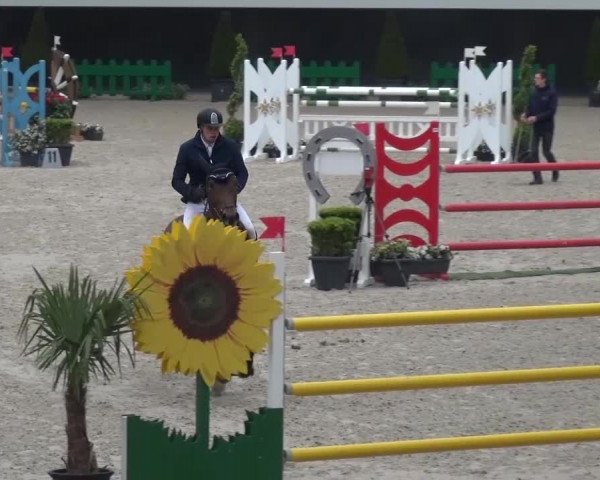 FEI Reitturnier Aachen (GER) 2016