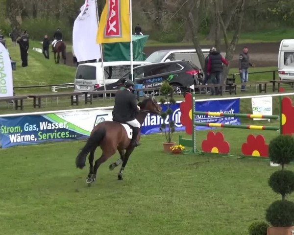 Reitturnier Greppin 2016
