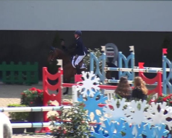 FEI Reitturnier Aachen (GER) 2016