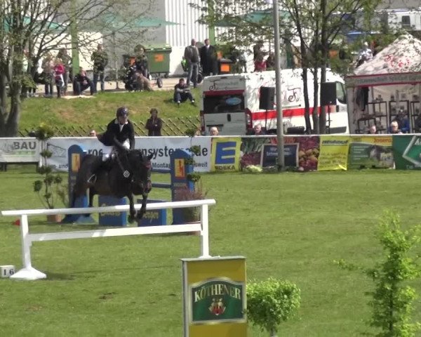 Reitturnier Greppin 2016