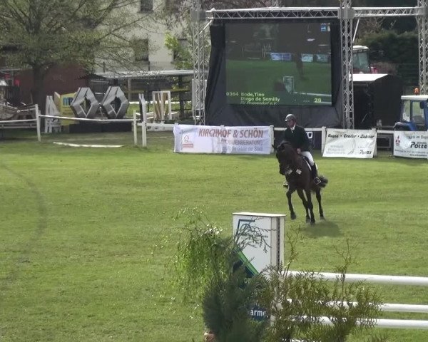 Reitturnier Greppin 2016