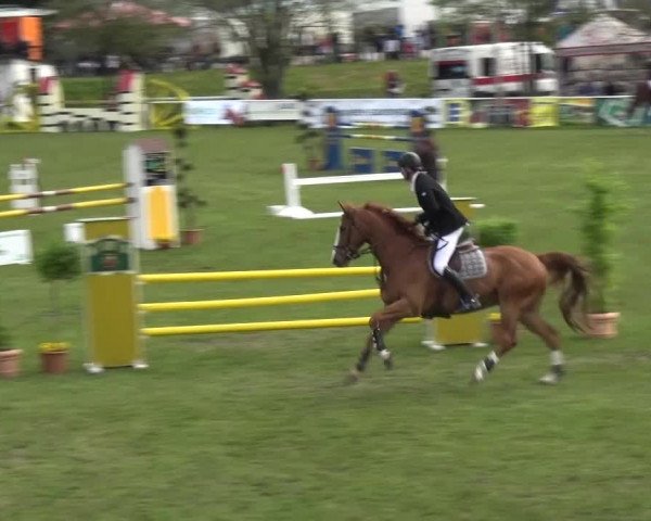 Reitturnier Greppin 2016