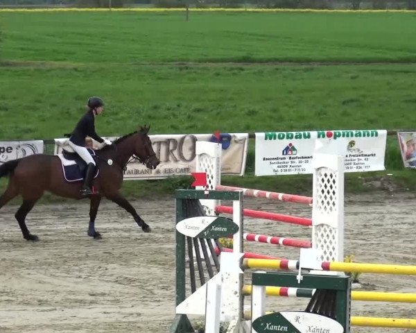 Reitturnier Xanten - Moermter 2016
