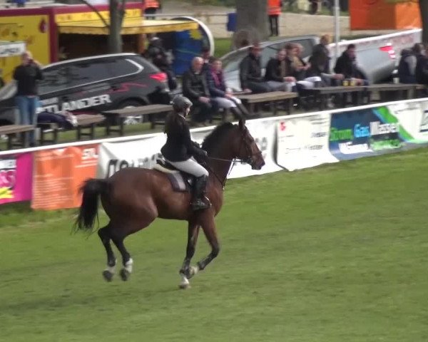 Reitturnier Greppin 2016