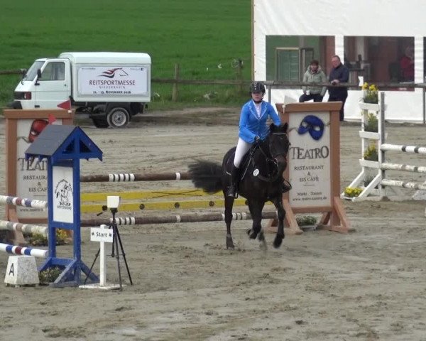 Reitturnier Xanten - Moermter 2016