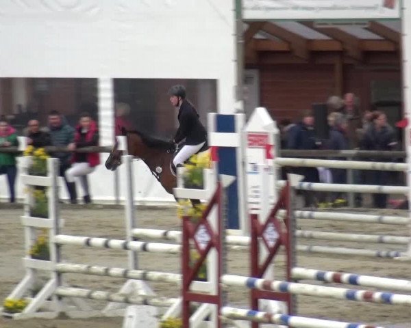Reitturnier Xanten - Moermter 2016