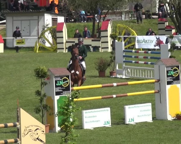 Reitturnier Greppin 2016