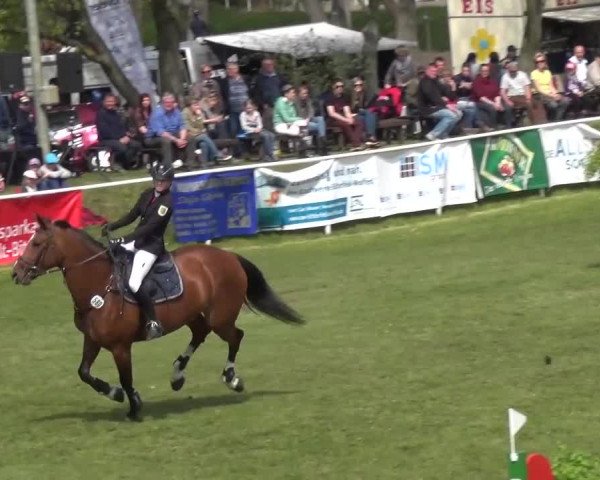 Reitturnier Greppin 2016